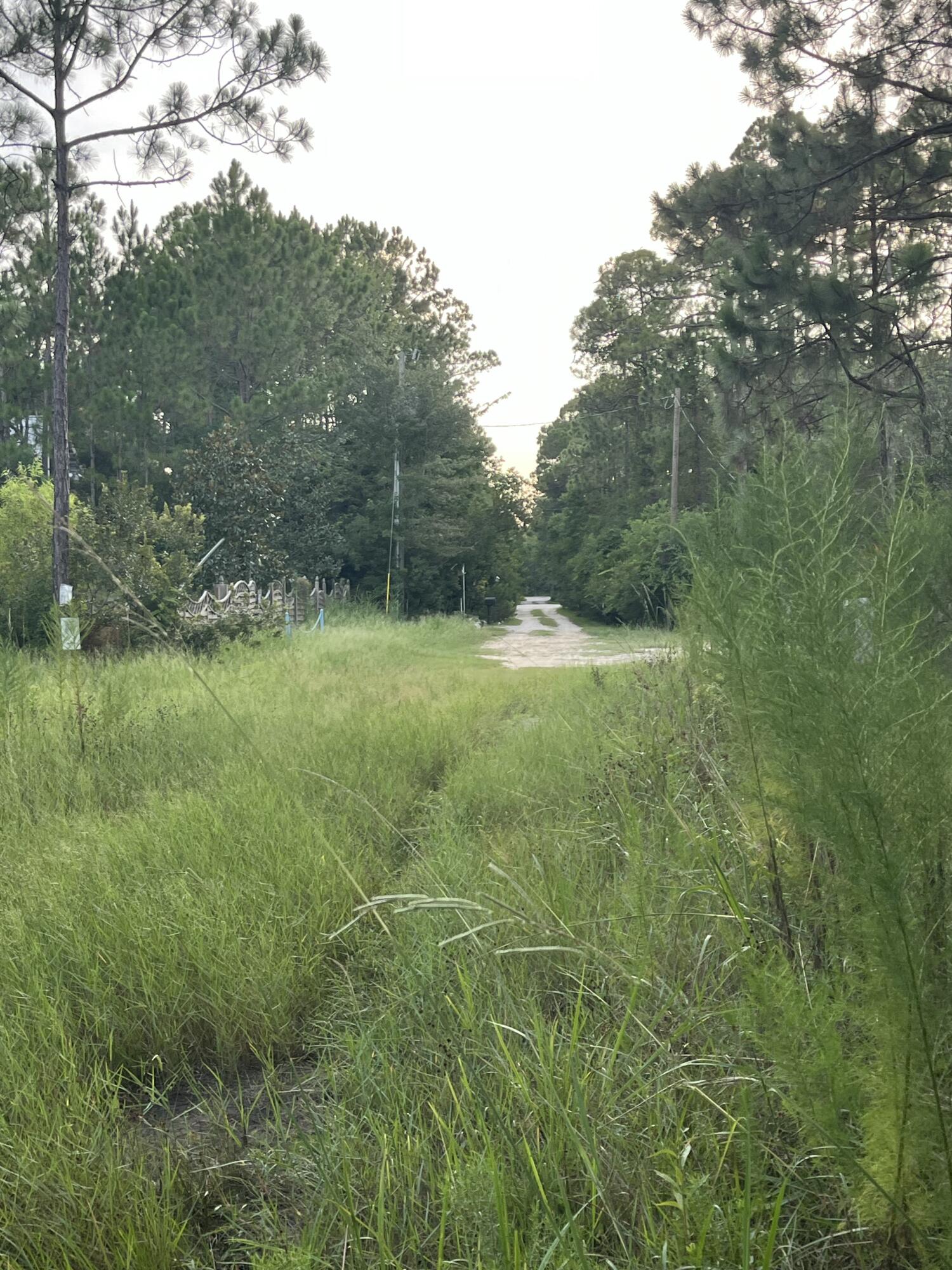 12-13 Calm Gulf Drive Santa Rosa Beach, FL 32459 - Photo 7 of 9 a view of outdoor space and yard