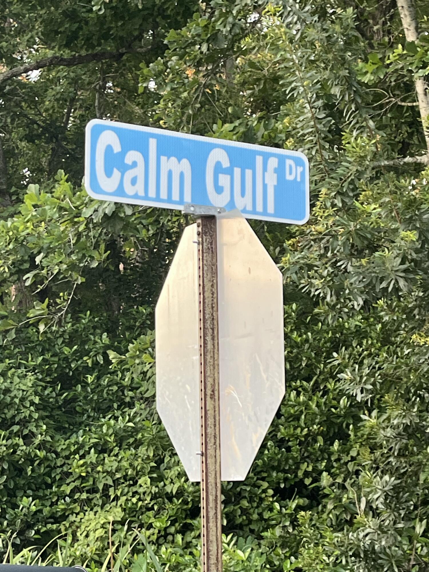 12-13 Calm Gulf Drive Santa Rosa Beach, FL 32459 - Photo 9 of 9 a street sign sitting on top of a wooden wall