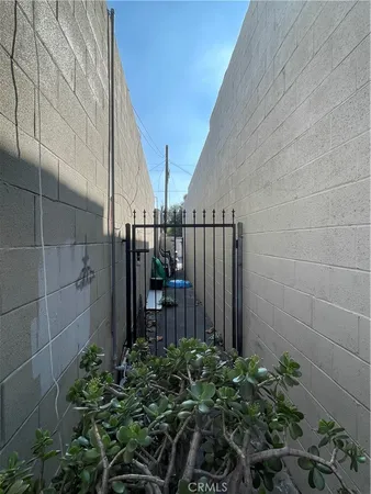 a view of potted plants next to a wall
