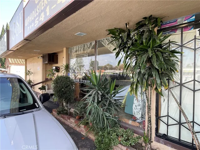 a potted plants in front of a door