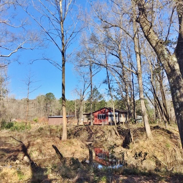 5167 Mary Wall Bridge Road Liberty, MS 39645 - Photo 11 of 17 Photo 11