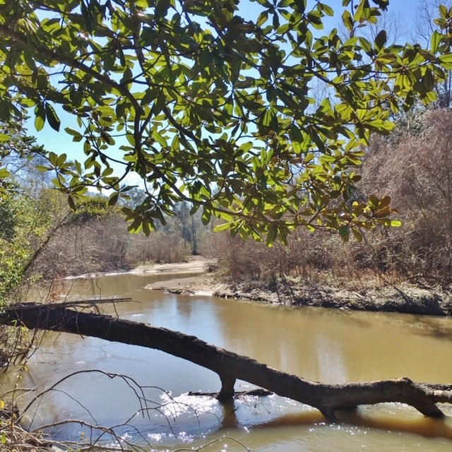 5167 Mary Wall Bridge Road Liberty, MS 39645 - Photo 12 of 17 Photo 12
