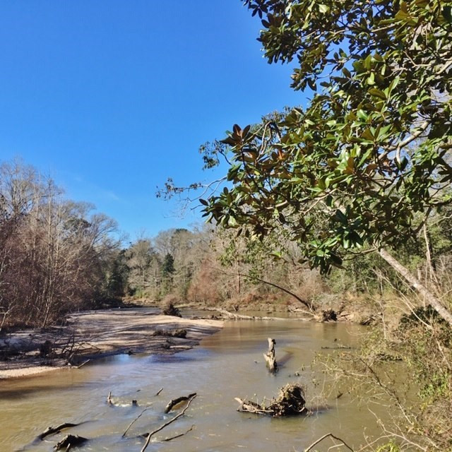 5167 Mary Wall Bridge Road Liberty, MS 39645 - Photo 13 of 17 Photo 13