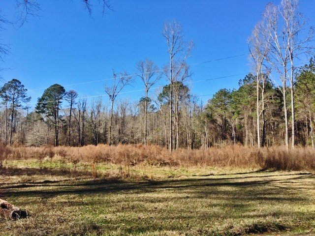 5167 Mary Wall Bridge Road Liberty, MS 39645 - Photo 2 of 17 Photo 2