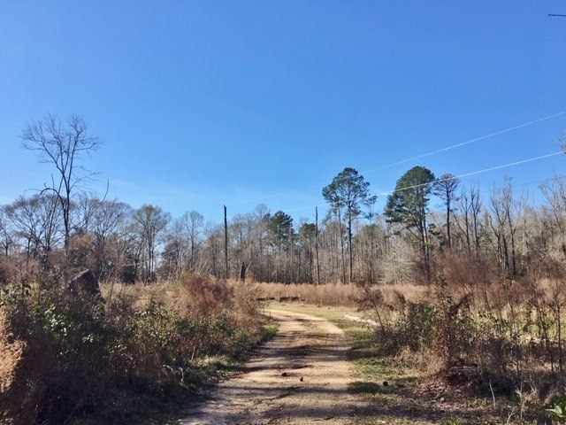5167 Mary Wall Bridge Road Liberty, MS 39645 - Photo 3 of 17 Photo 3