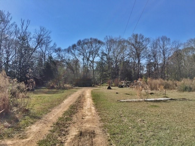 5167 Mary Wall Bridge Road Liberty, MS 39645 - Photo 4 of 17 Photo 4