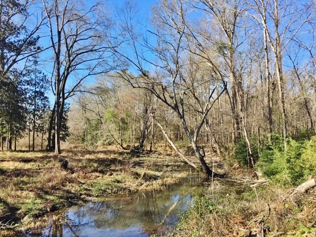 5167 Mary Wall Bridge Road Liberty, MS 39645 - Photo 7 of 17 Photo 7
