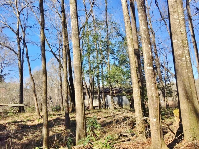 5167 Mary Wall Bridge Road Liberty, MS 39645 - Photo 10 of 17 Photo 10