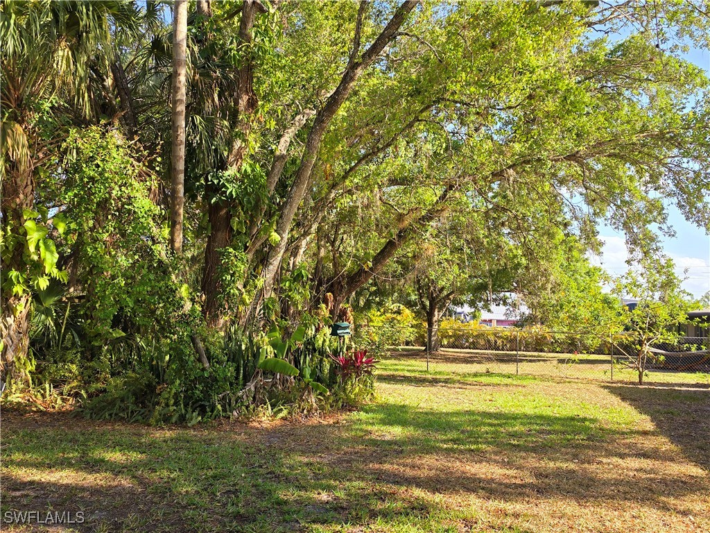 75 Hardee Street LaBelle, FL 33935 - Photo 24 of 24 a view of a yard with large trees