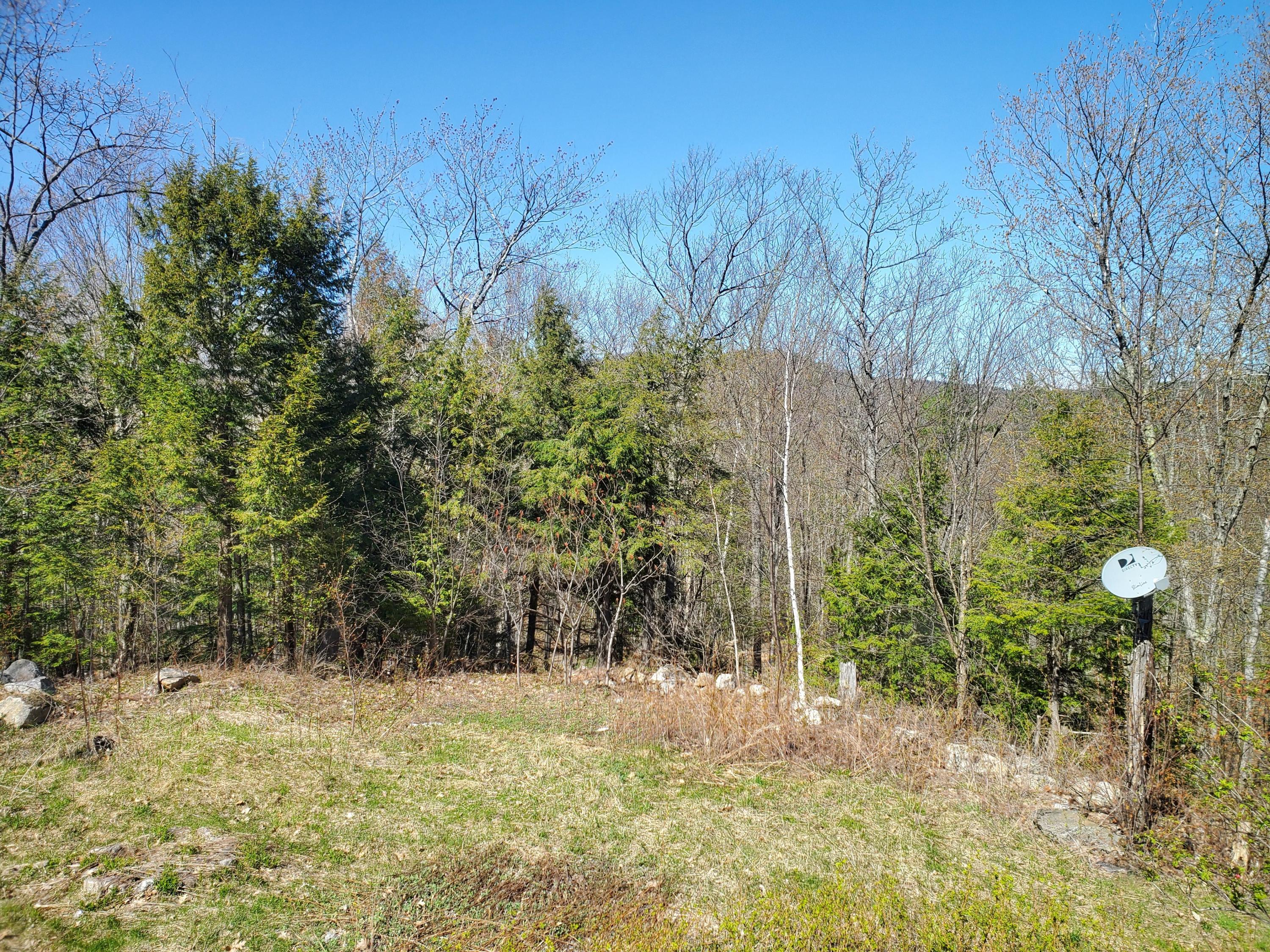195 Damon Road Sumner, ME 04292 - Photo 10 of 11 20200512_151015