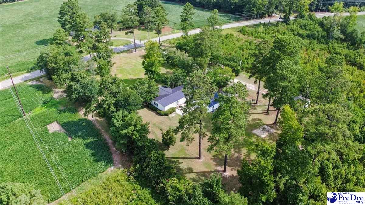 41 New Zion Road Lake City, SC 29560 - Photo 48 of 48 Gallery Image 48