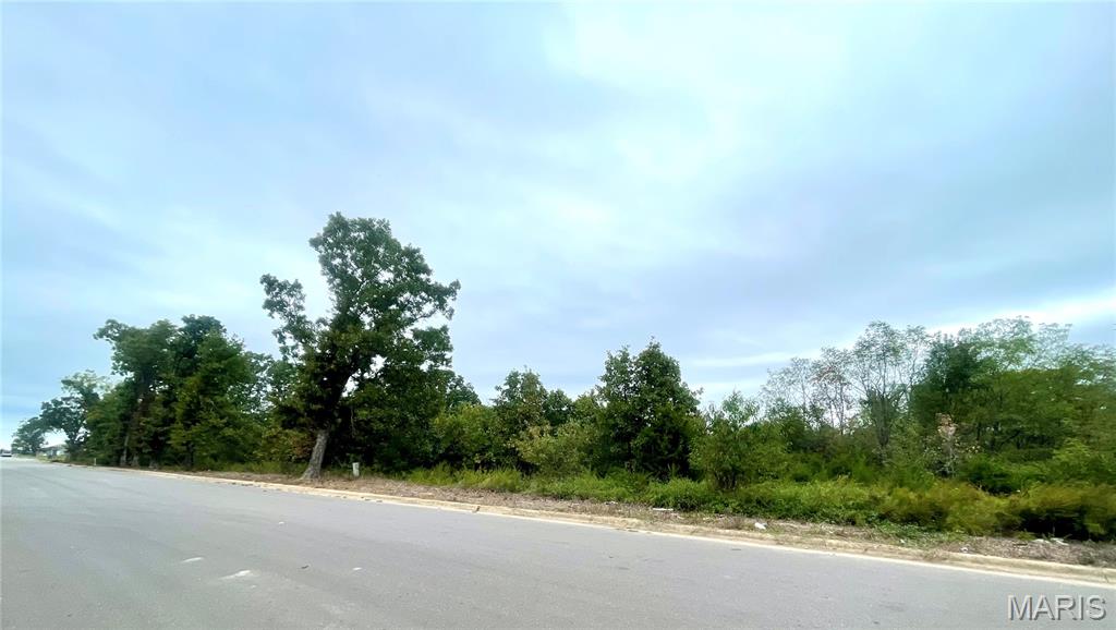 0 Ivey Lane Lebanon, MO 65536 - Photo 2 of 8