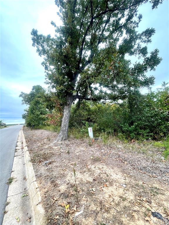 0 Ivey Lane Lebanon, MO 65536 - Photo 4 of 8