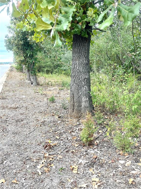 0 Ivey Lane Lebanon, MO 65536 - Photo 5 of 8