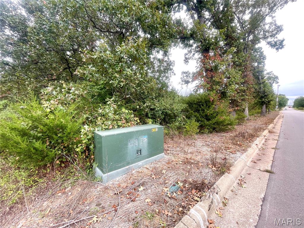 0 Ivey Lane Lebanon, MO 65536 - Photo 7 of 8