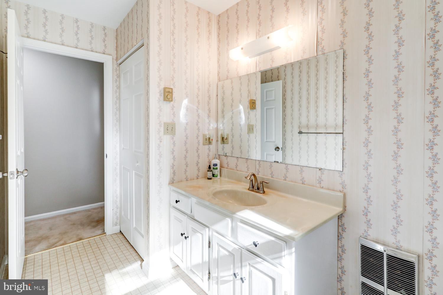 230 Hickory Drive Lititz, PA 17543 - Photo 29 of 43 a bathroom with a sink and a mirror