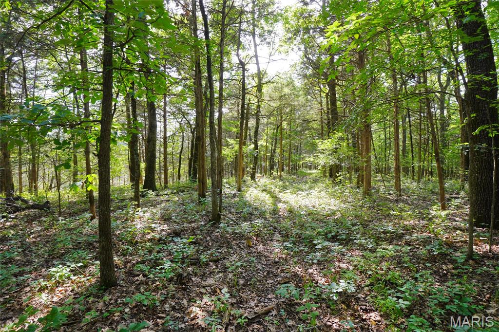 1971 Epple Road Hermann, MO 65041 - Photo 81 of 98