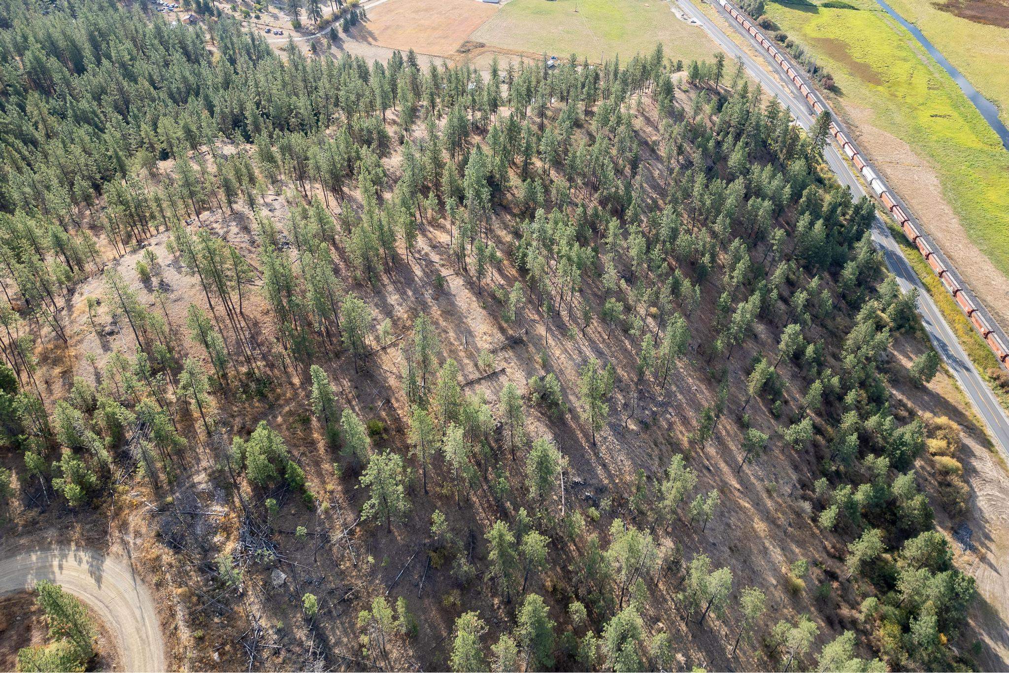 Tbd Tbd 231st Hwy Valley Valley, WA 99181 - Photo 6 of 9