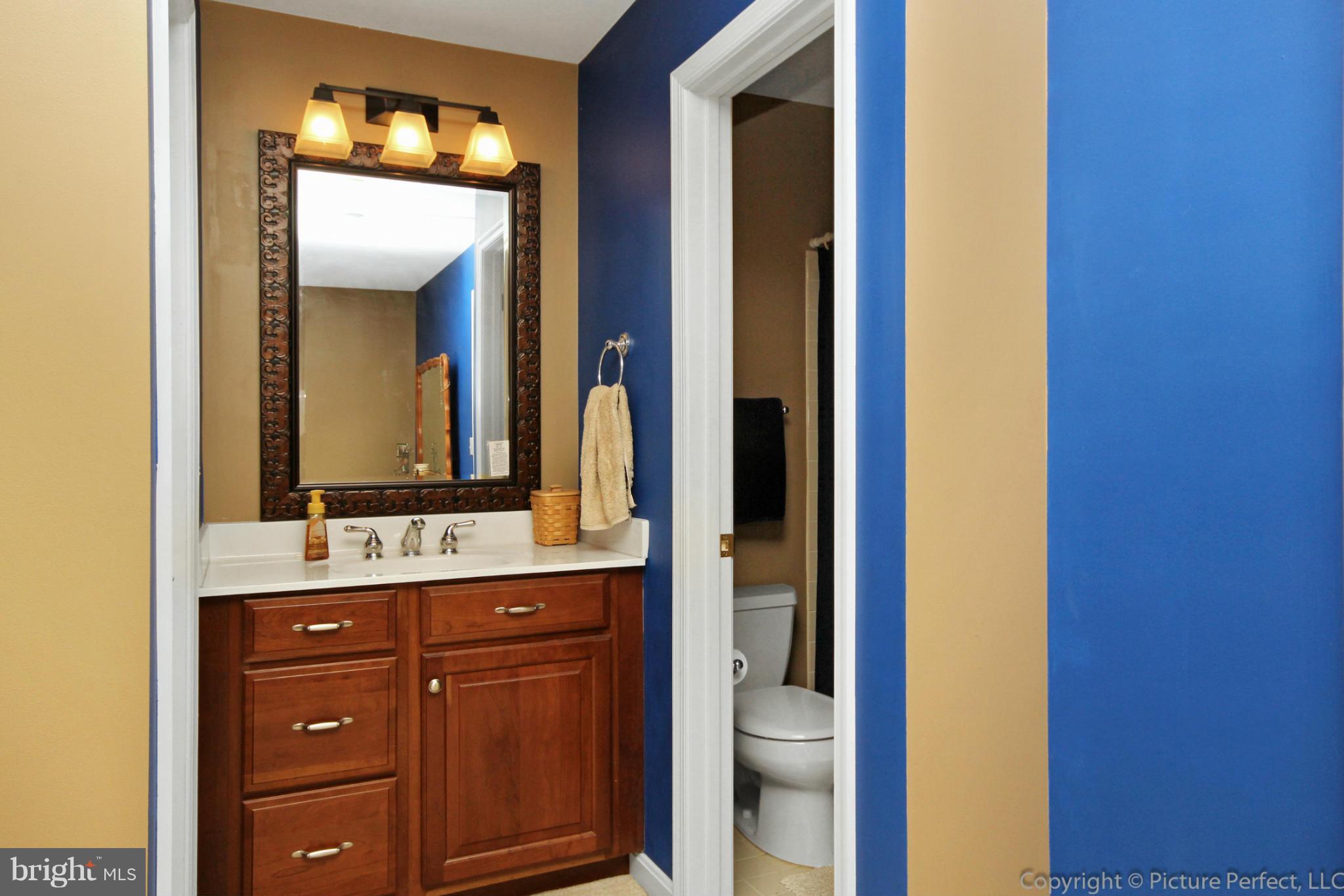 6668 Detrick Road Mount Airy, MD 21771 - Photo 18 of 30 Full Bath to Bedroom #3