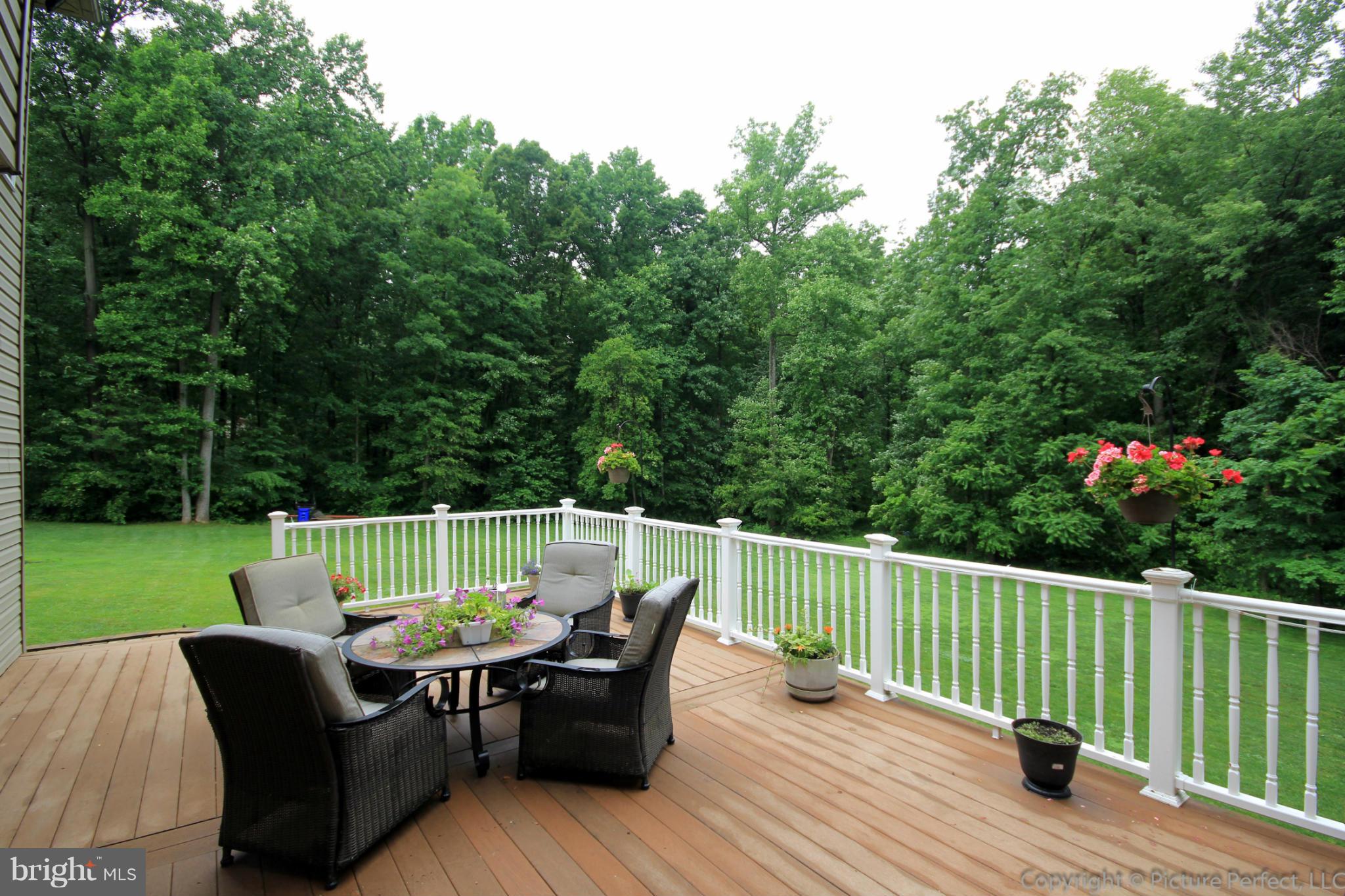 6668 Detrick Road Mount Airy, MD 21771 - Photo 26 of 30 Deck with Overlooking View of the Backyard