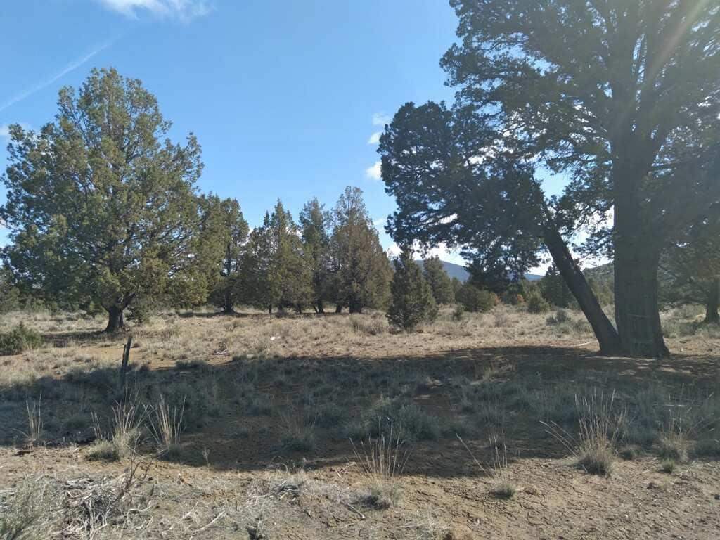 0 Homeland Road Macdoel, CA 96058 - Photo 1 of 4 Gallery Image 1