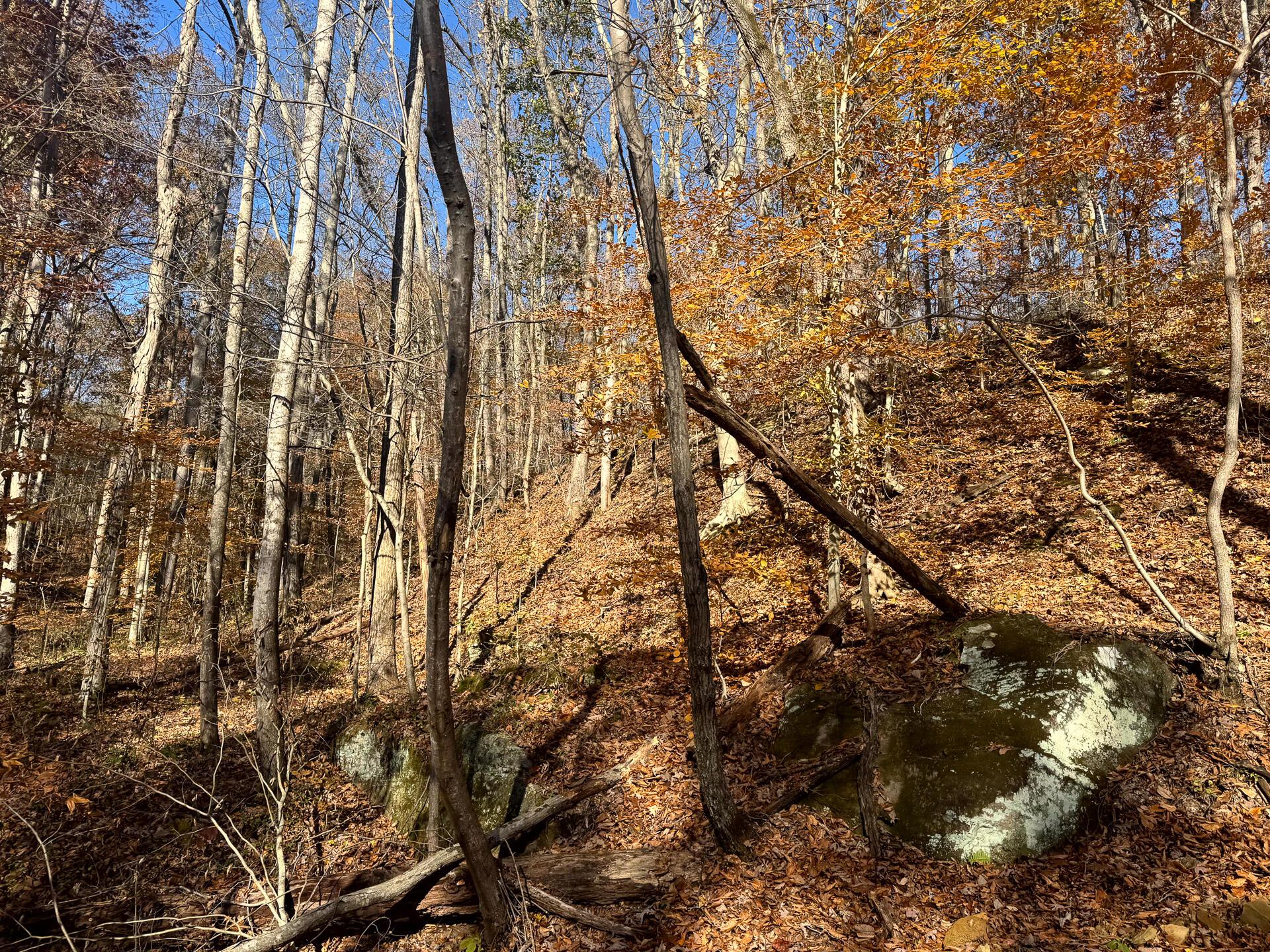 680 Nibert Road, Unit PONDS POPLAR RIDGE TRACT 10) Gallipolis, OH 45631 - Photo 6 of 46 CT-6