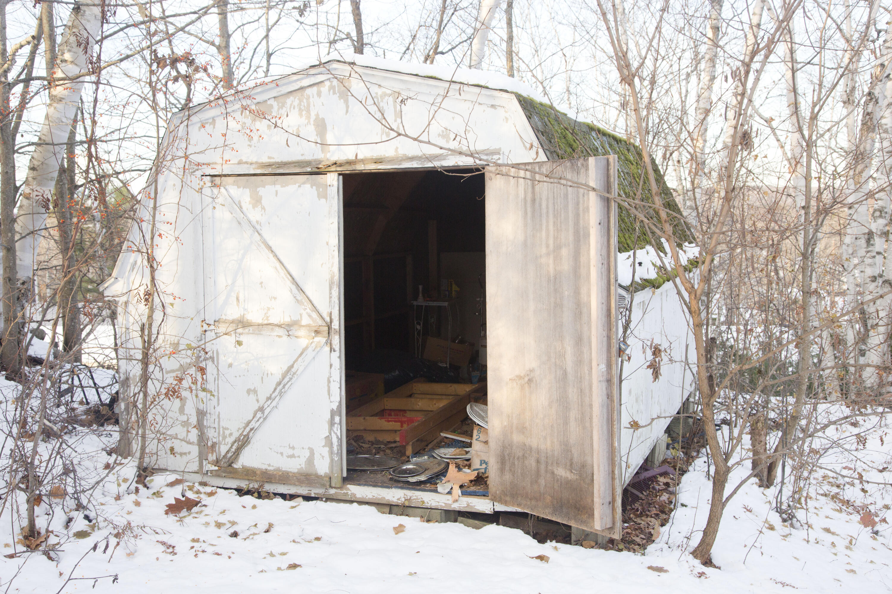 30 Pleasant Street Millinocket, ME 04462 - Photo 40 of 46 Shed