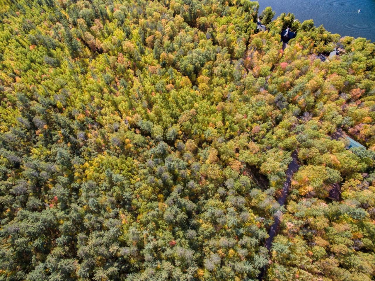 On Jansen Road, Unit LOT 2 Minocqua, WI 54548 - Photo 14 of 22 Gallery Image 14