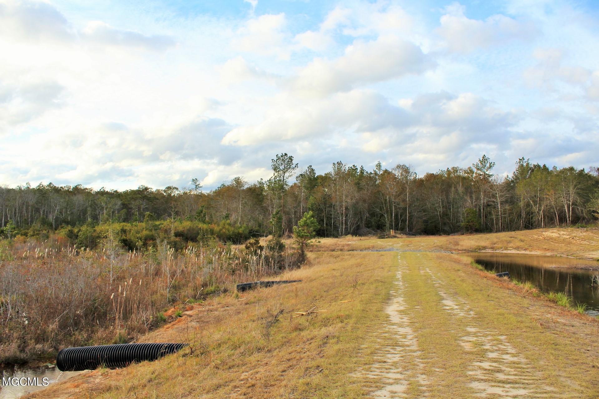 30.02-ac Buddy Finch Road Lucedale, MS 39452 - Photo 11 of 11 IMG_8318