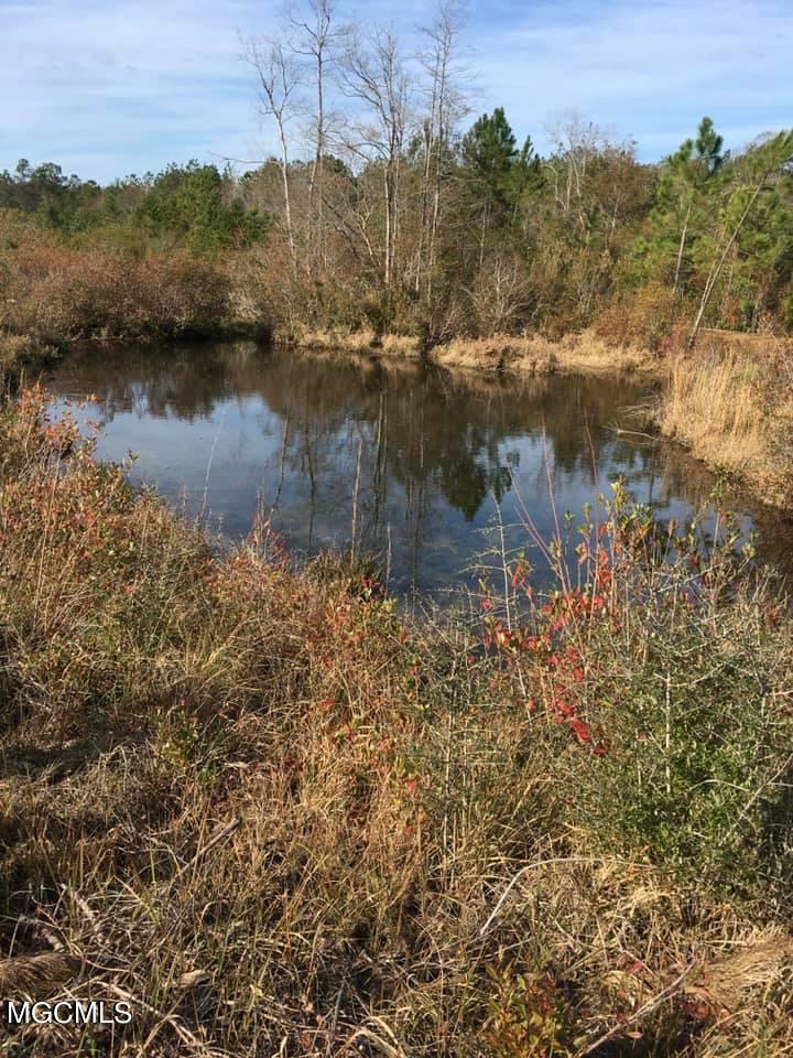 30.02-ac Buddy Finch Road Lucedale, MS 39452 - Photo 3 of 11 133532358_2753582264894734_6416292516719