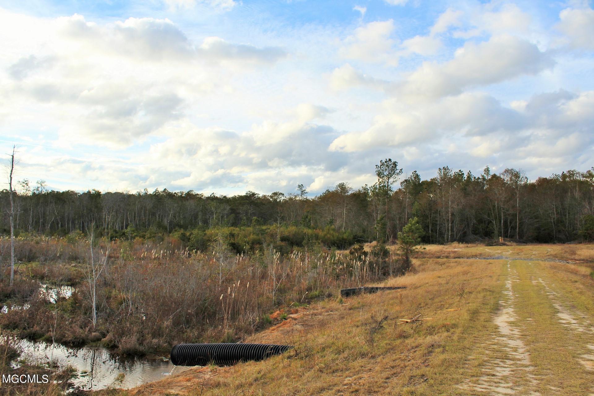 30.02-ac Buddy Finch Road Lucedale, MS 39452 - Photo 4 of 11 IMG_8320