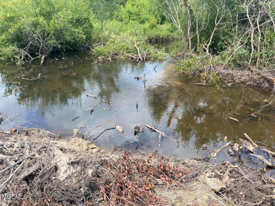 30.02-ac Buddy Finch Road Lucedale, MS 39452 - Photo 6 of 11 133751633_2753582238228070_6799645935964