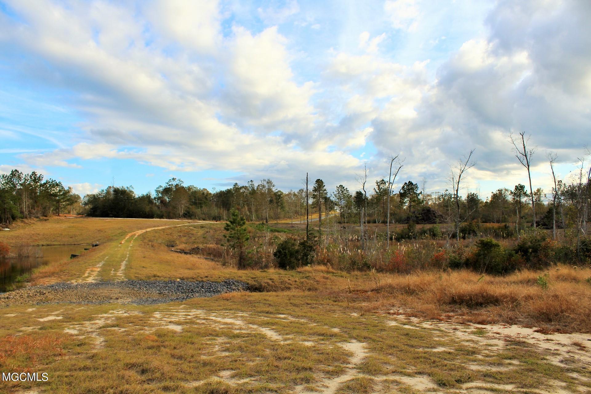 30.02-ac Buddy Finch Road Lucedale, MS 39452 - Photo 7 of 11 IMG_8323