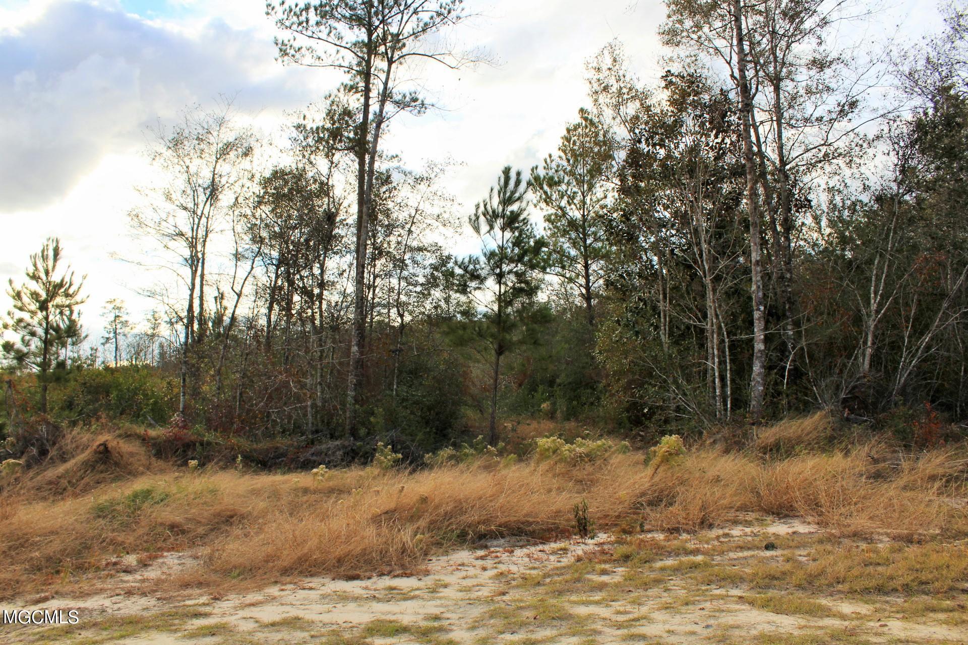 30.02-ac Buddy Finch Road Lucedale, MS 39452 - Photo 8 of 11 IMG_8325