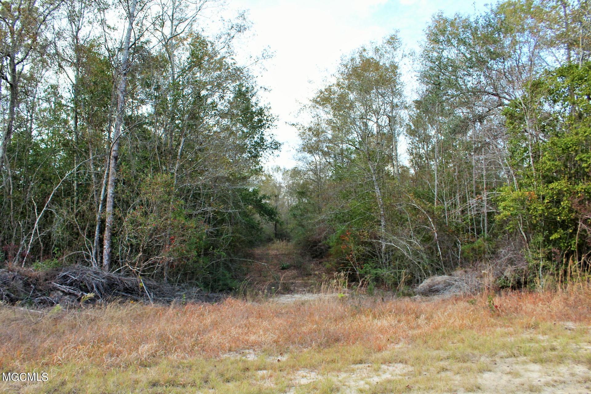 30.02-ac Buddy Finch Road Lucedale, MS 39452 - Photo 9 of 11 IMG_8326
