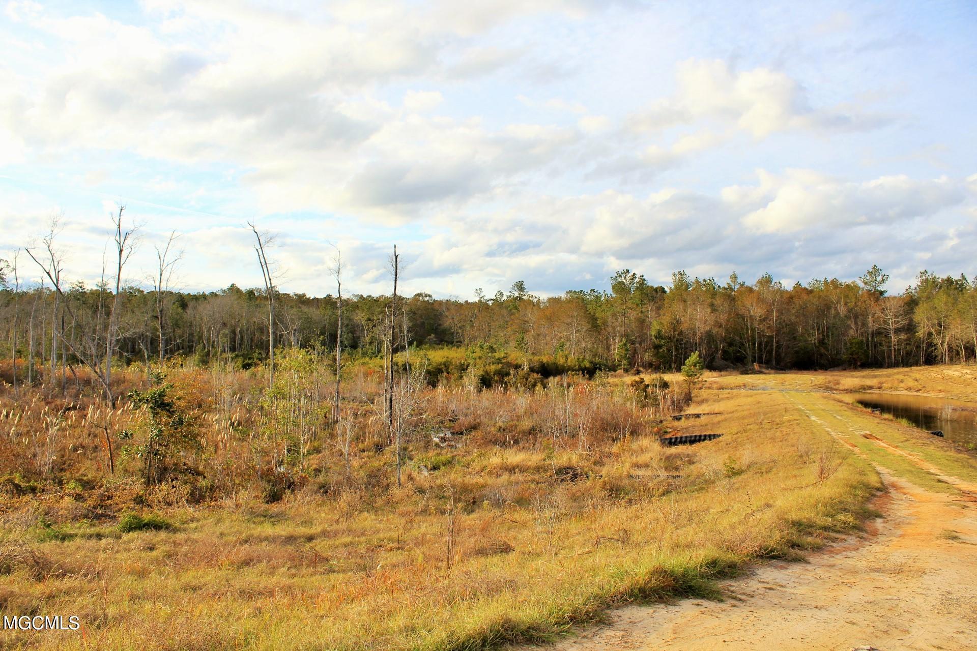 30.02-ac Buddy Finch Road Lucedale, MS 39452 - Photo 10 of 11 IMG_8331