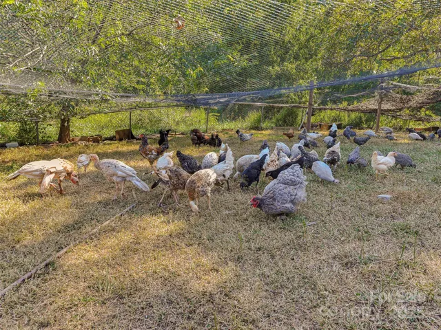 $530,000 | 250 Circus Trail, Forest City, NC 28043