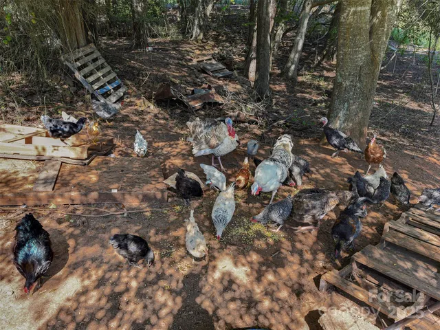 $530,000 | 250 Circus Trail, Forest City, NC 28043