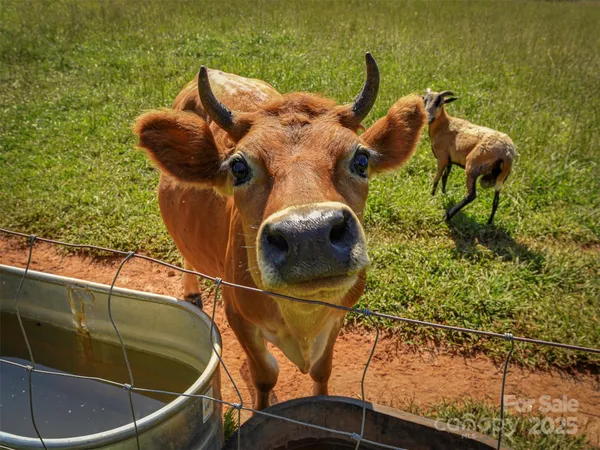 $530,000 | 250 Circus Trail, Forest City, NC 28043