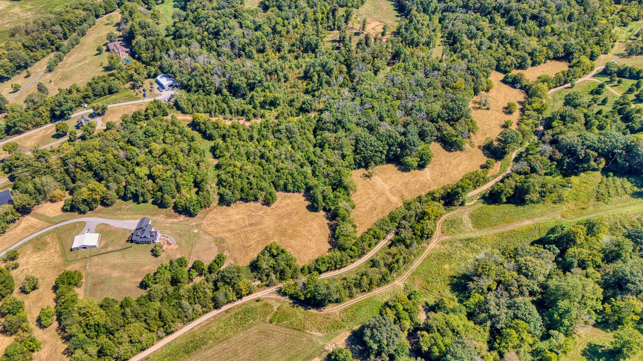 216 Old Wolf Hill Road Bethpage, TN 37022 - Photo 46 of 48 a view of a tree with a yard