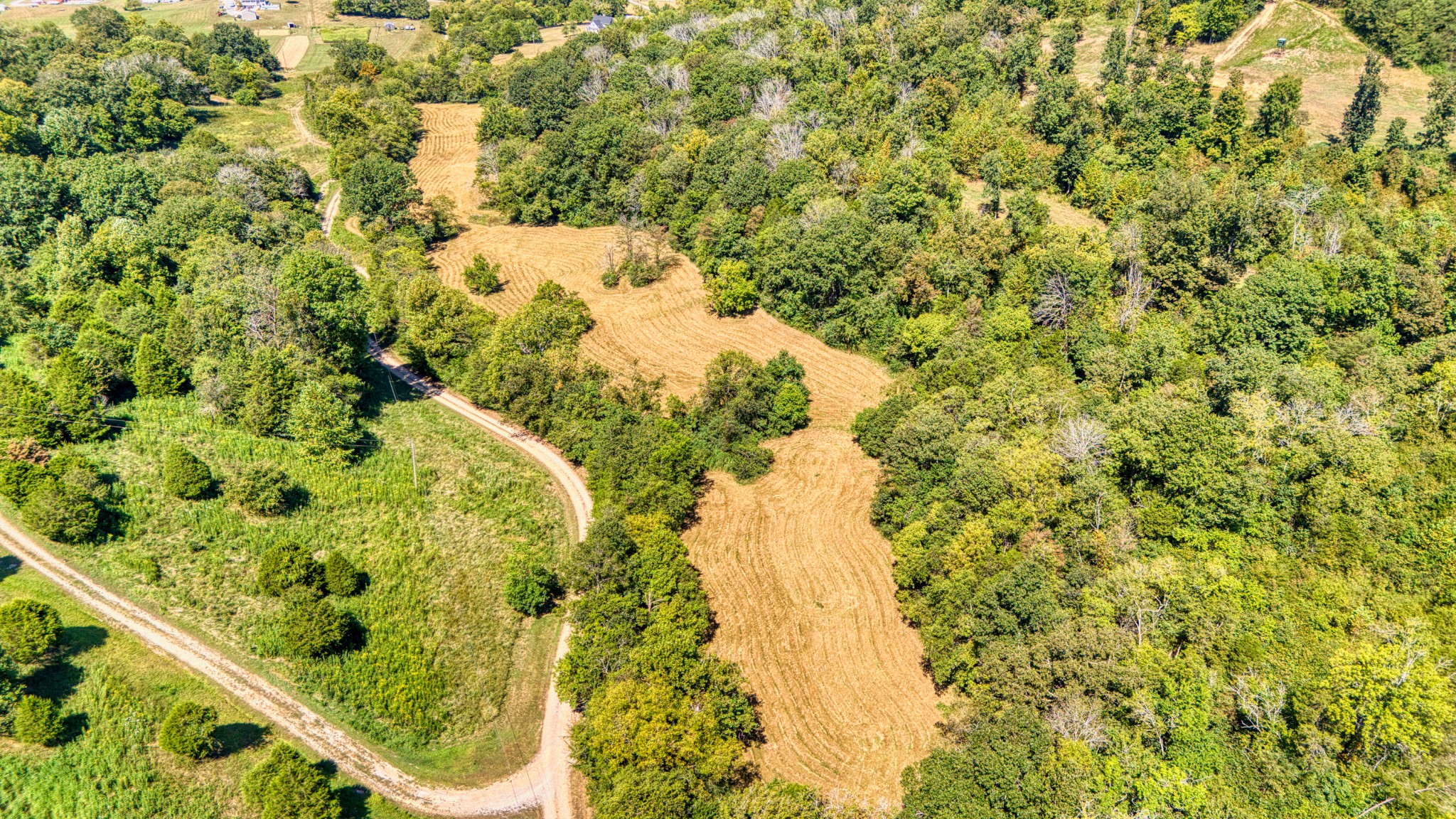 216 Old Wolf Hill Road Bethpage, TN 37022 - Photo 47 of 48 a view of a yard with plants