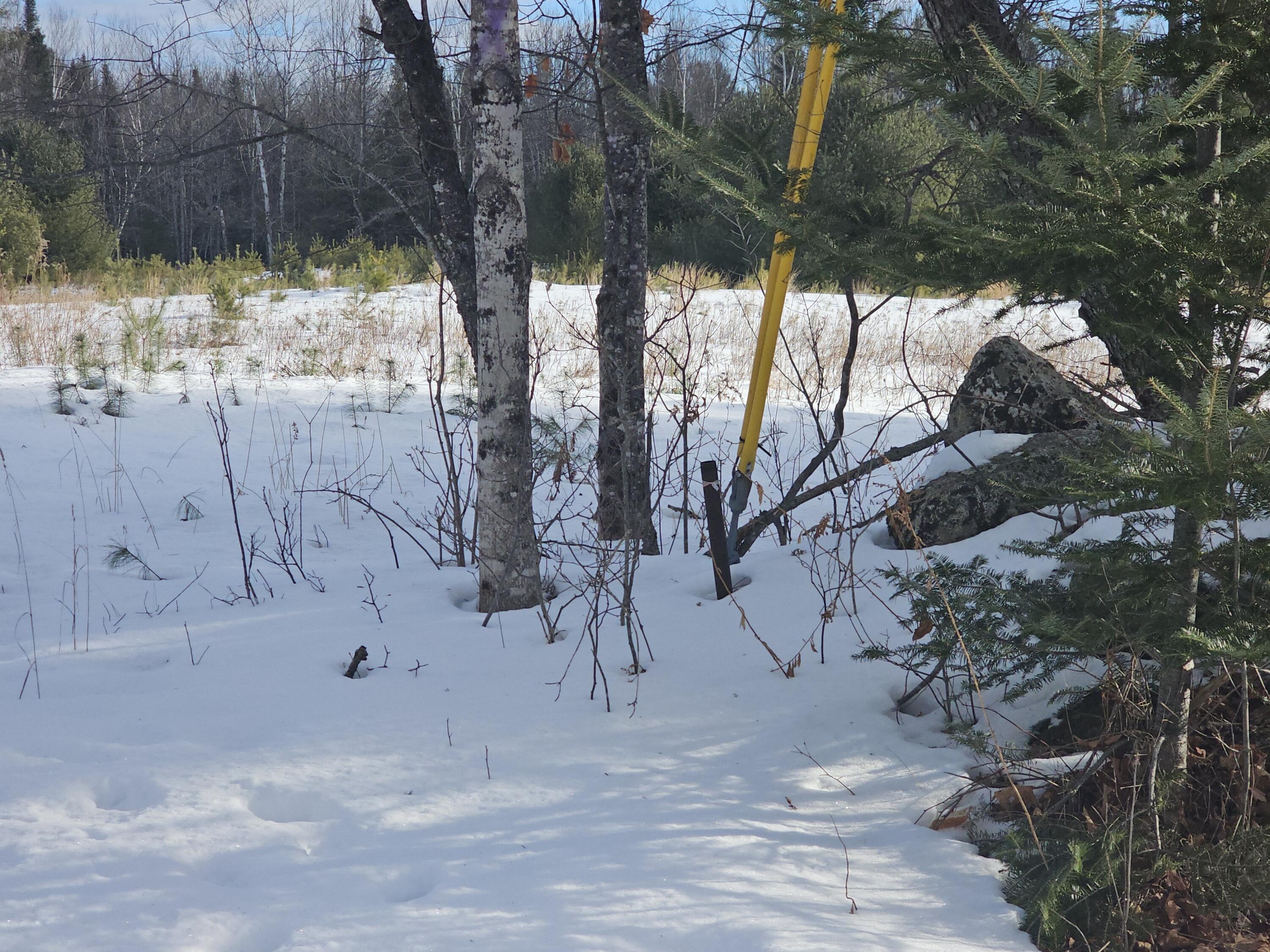 614 Round-The-Pond Road Norway, ME 04268 - Photo 20 of 23 2026-01-13 09.39.16