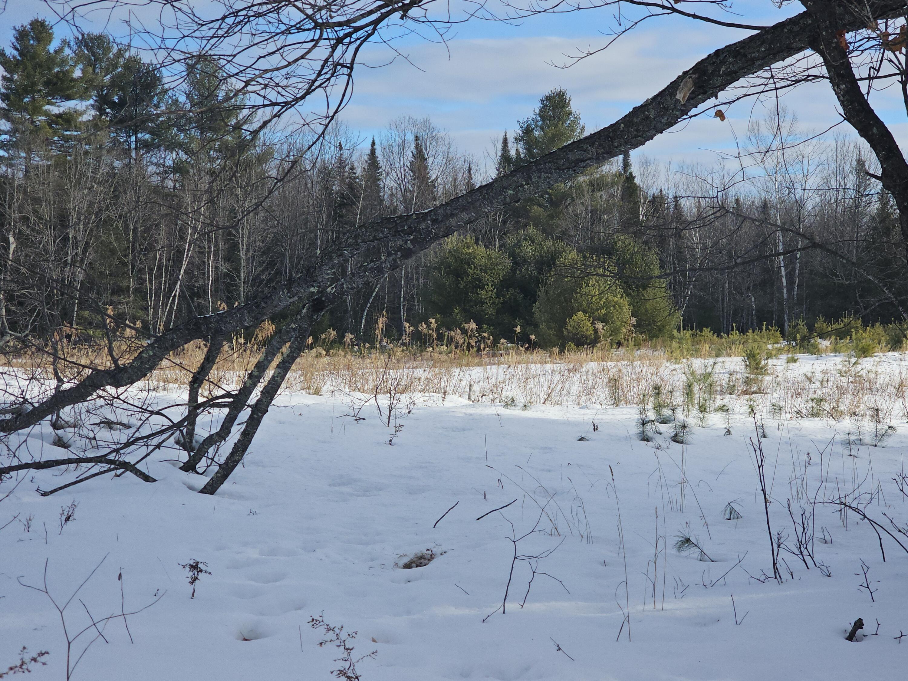 614 Round-The-Pond Road Norway, ME 04268 - Photo 21 of 23 2026-01-13 09.39.20