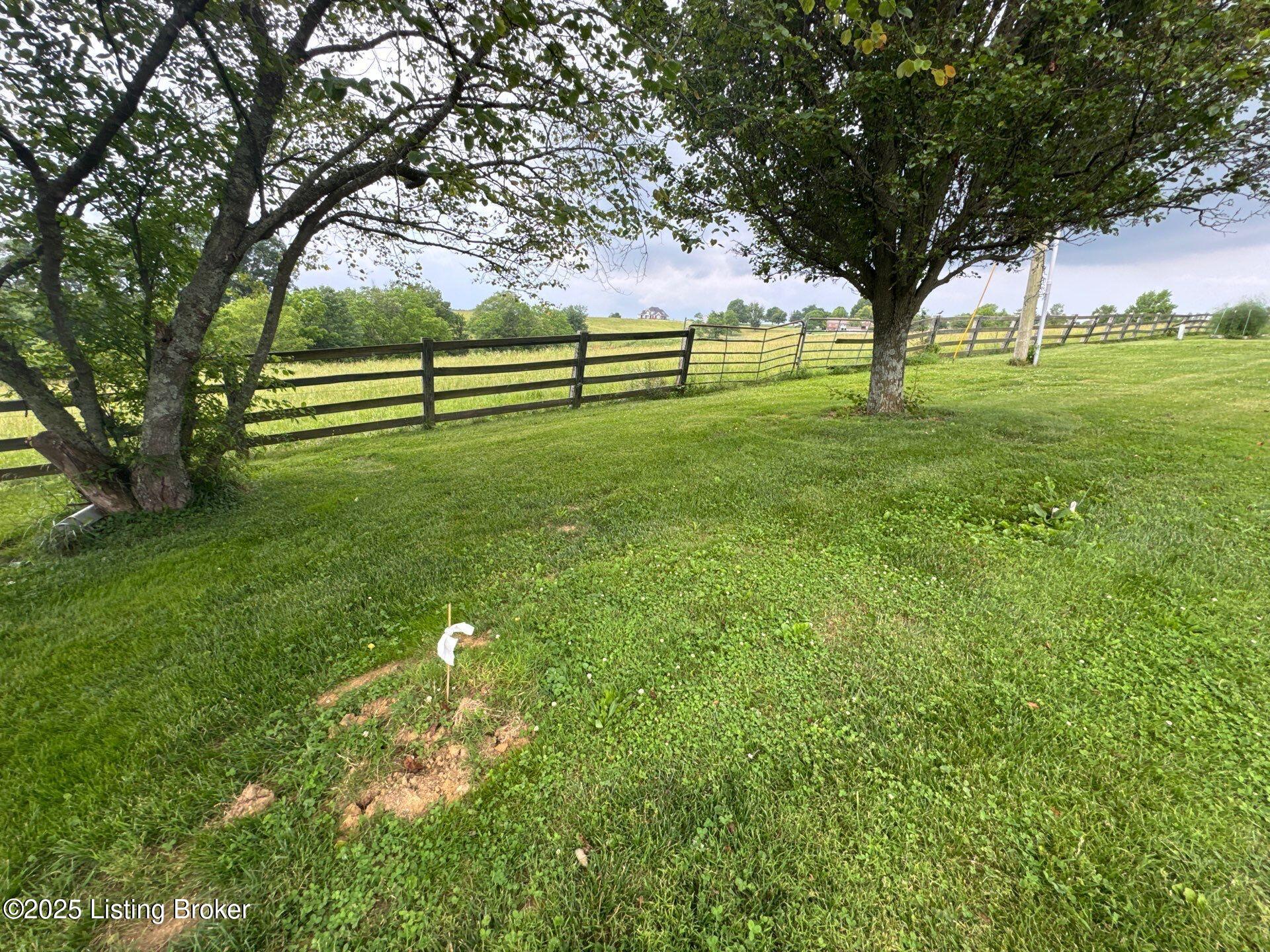5309 Bardstown Road Springfield, KY 40069 - Photo 68 of 74 4-Jun 06 2025 11_06am-c4h6