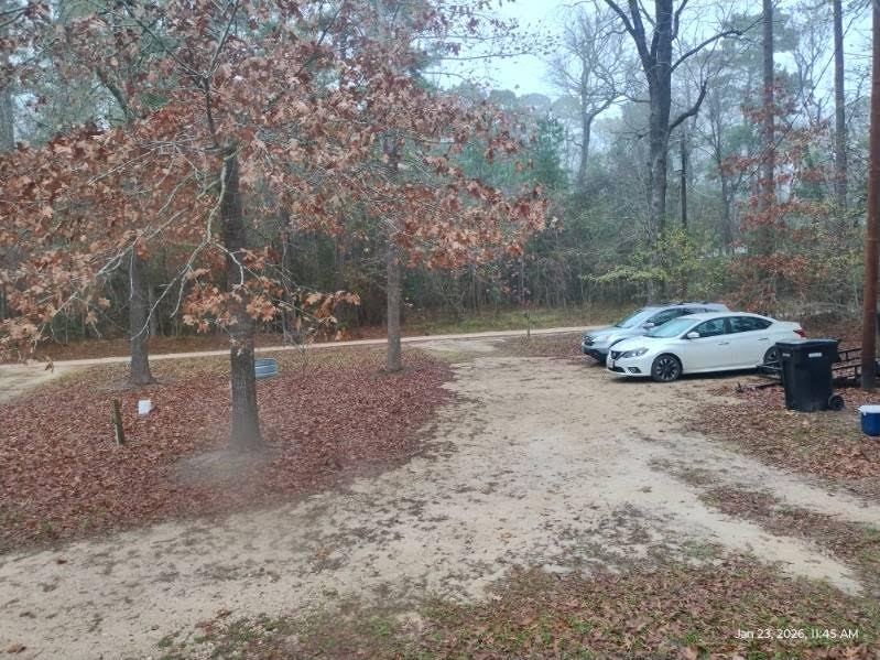 180 Woods Road Coldspring, TX 77331 - Photo 34 of 35 a backyard of a house with lots of green space