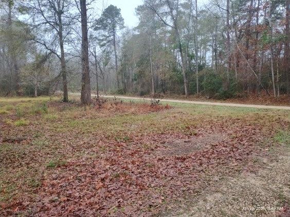 180 Woods Road Coldspring, TX 77331 - Photo 35 of 35 a view of a yard with trees