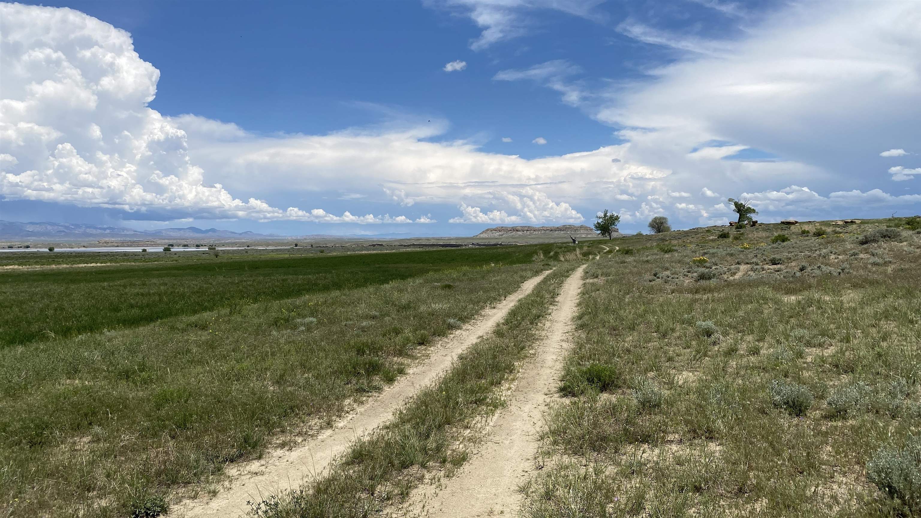 26 Us Highway Shoshoni, WY 82649 - Photo 9 of 9