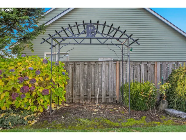 a view of a backyard with plants