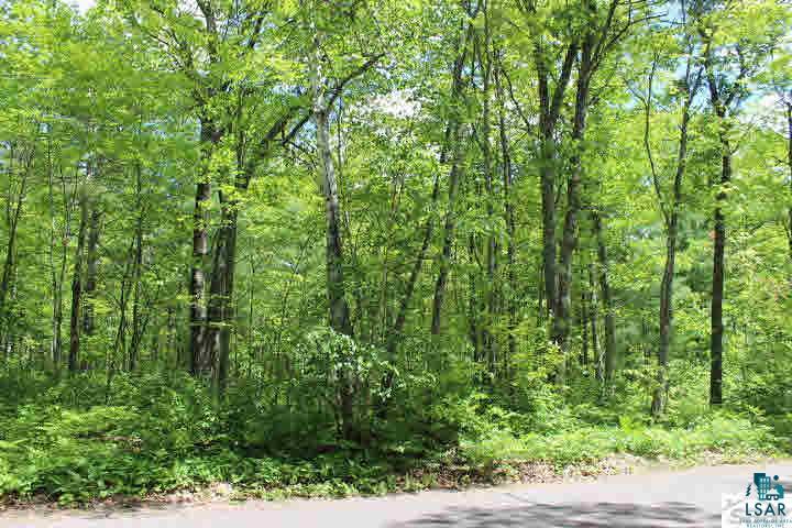 67705 East Deep Lake Road Iron River, WI 54847 - Photo 18 of 19 Gallery Image 18