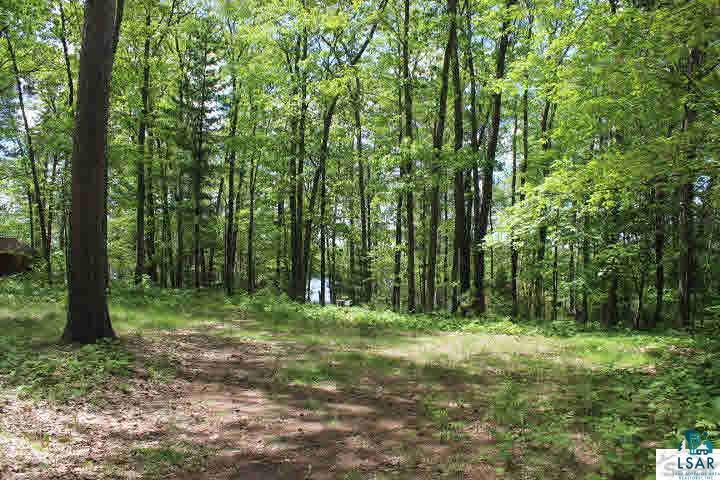 67705 East Deep Lake Road Iron River, WI 54847 - Photo 3 of 19 Gallery Image 3